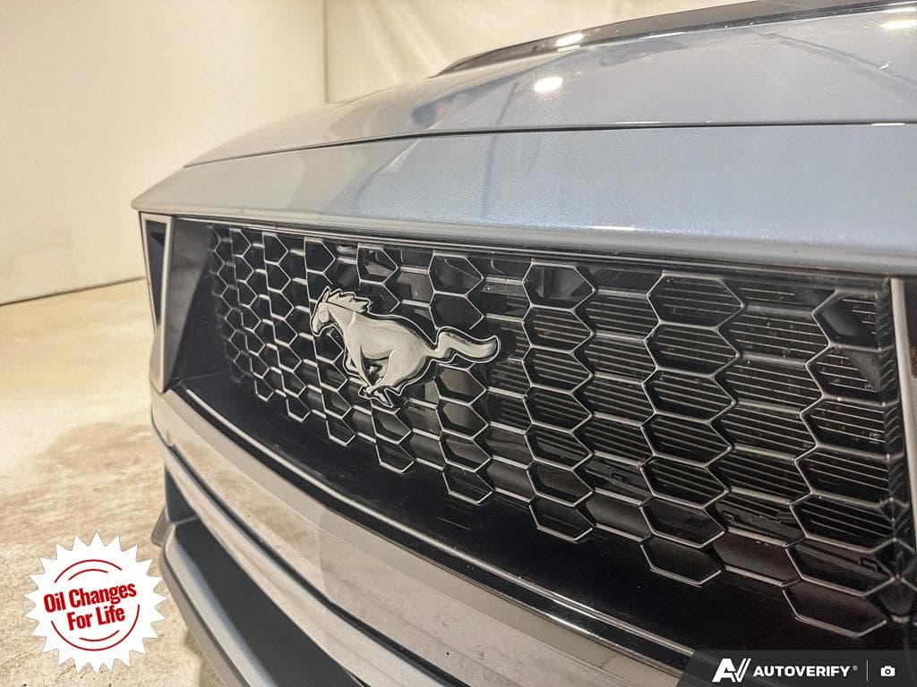 2024 Ford Mustang GT Premium, photograph 14