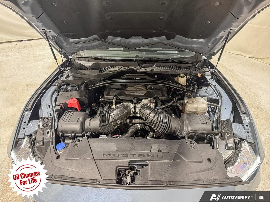 2024 Ford Mustang GT Premium, photograph 15