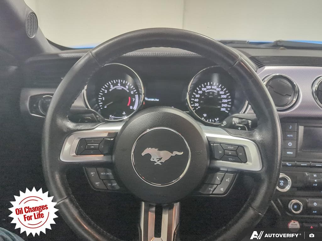 2017 Ford Mustang EcoBoost, photograph 20