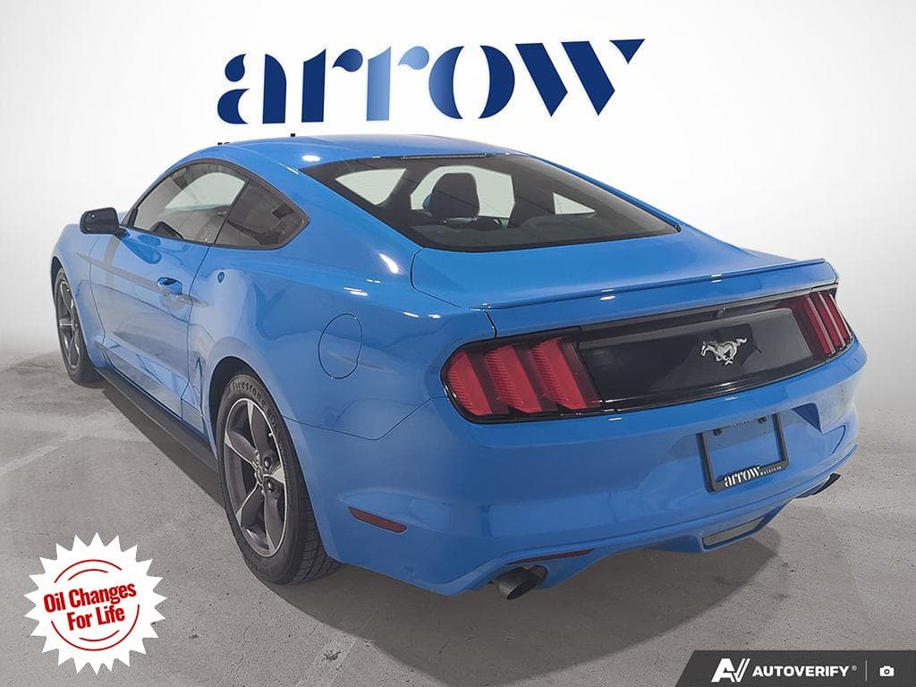 2017 Ford Mustang EcoBoost, photograph 6