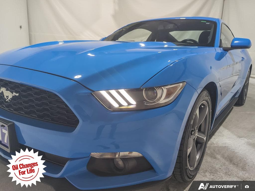 2017 Ford Mustang EcoBoost, photograph 14