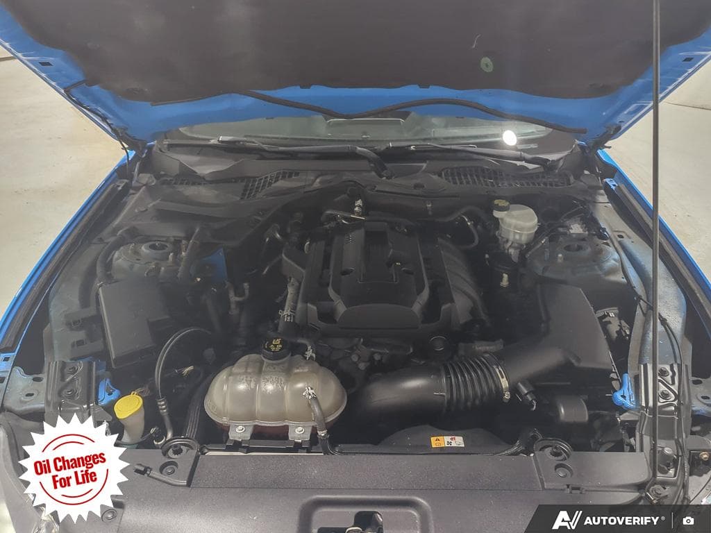 2017 Ford Mustang EcoBoost, photograph 16