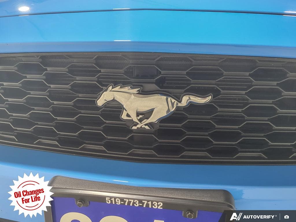 2017 Ford Mustang EcoBoost, photograph 15