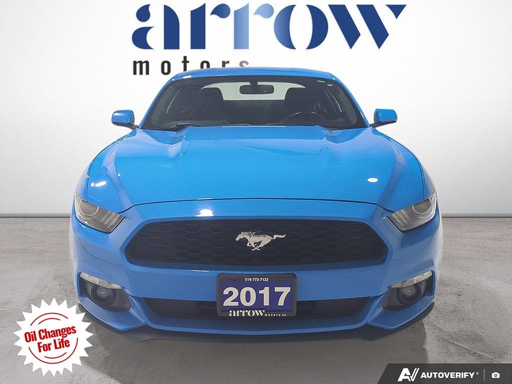 2017 Ford Mustang EcoBoost, photograph 11