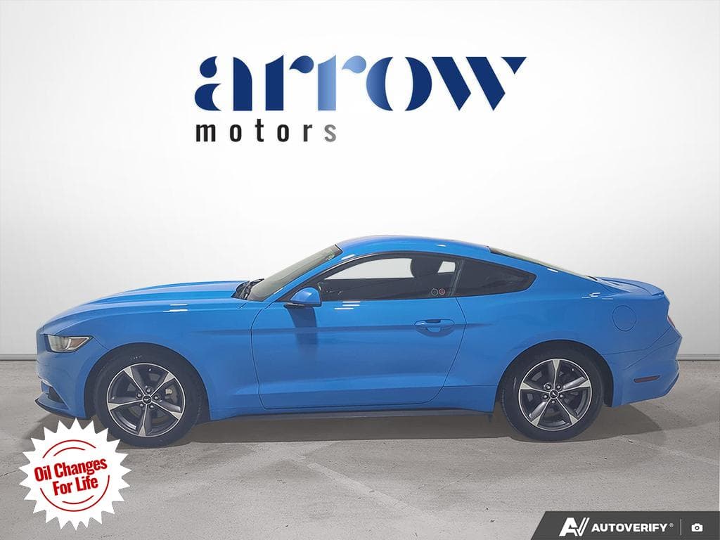 2017 Ford Mustang EcoBoost, photograph 5