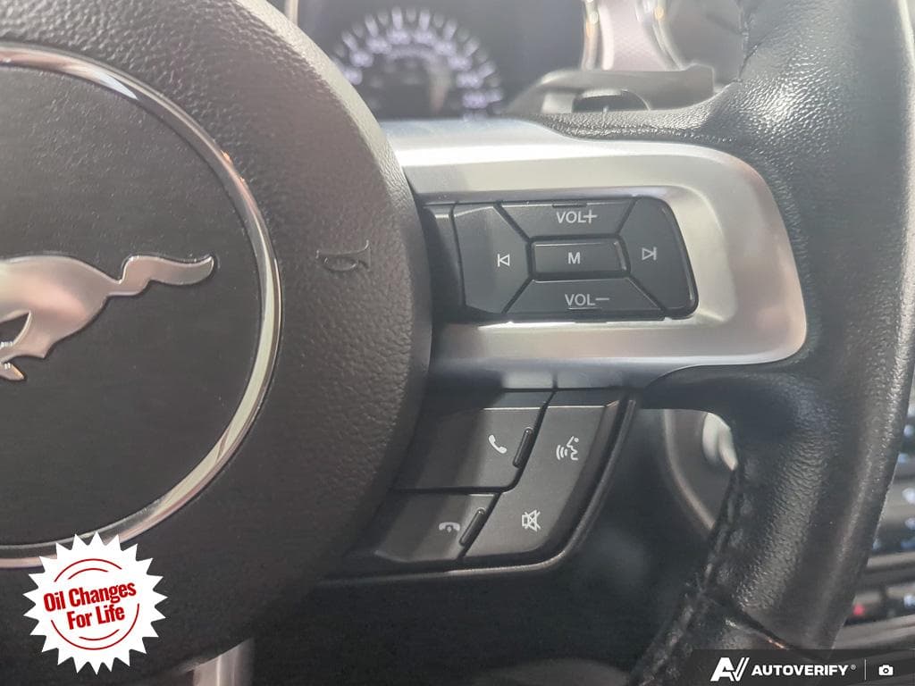 2017 Ford Mustang EcoBoost, photograph 22