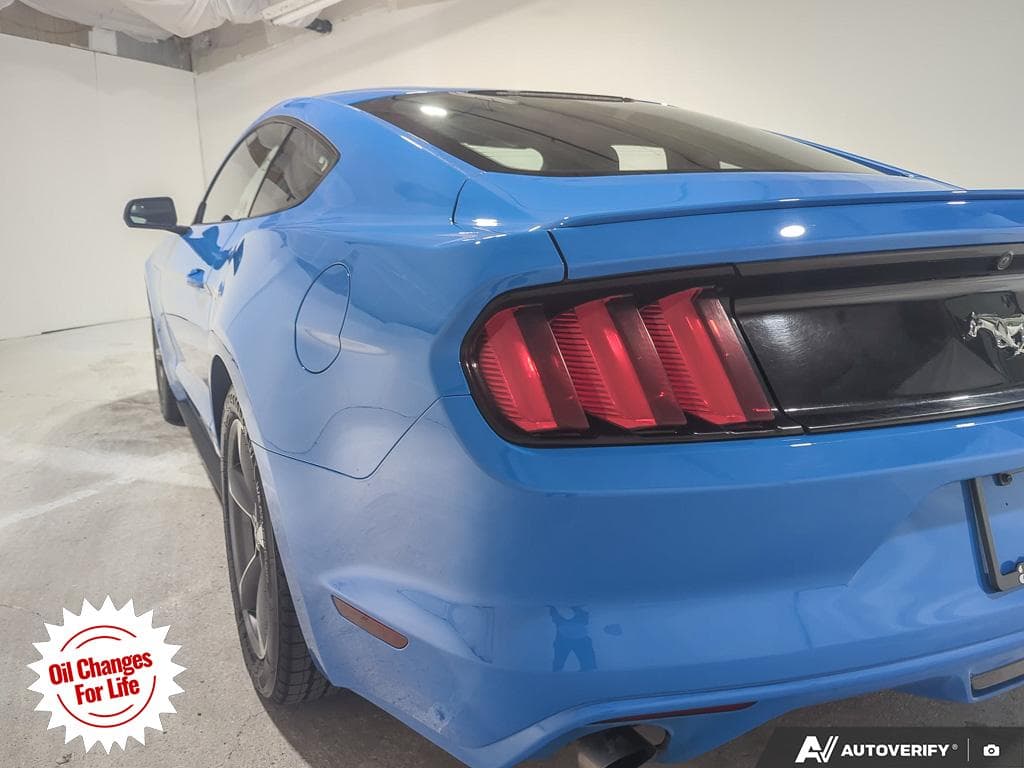 2017 Ford Mustang EcoBoost, photograph 17