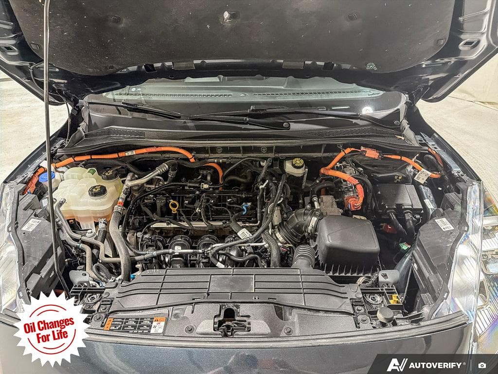 2022 Ford Escape Plug-In Hybrid Titanium, photograph 15