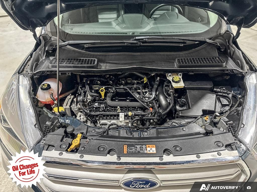 2019 Ford Escape SEL, photograph 14