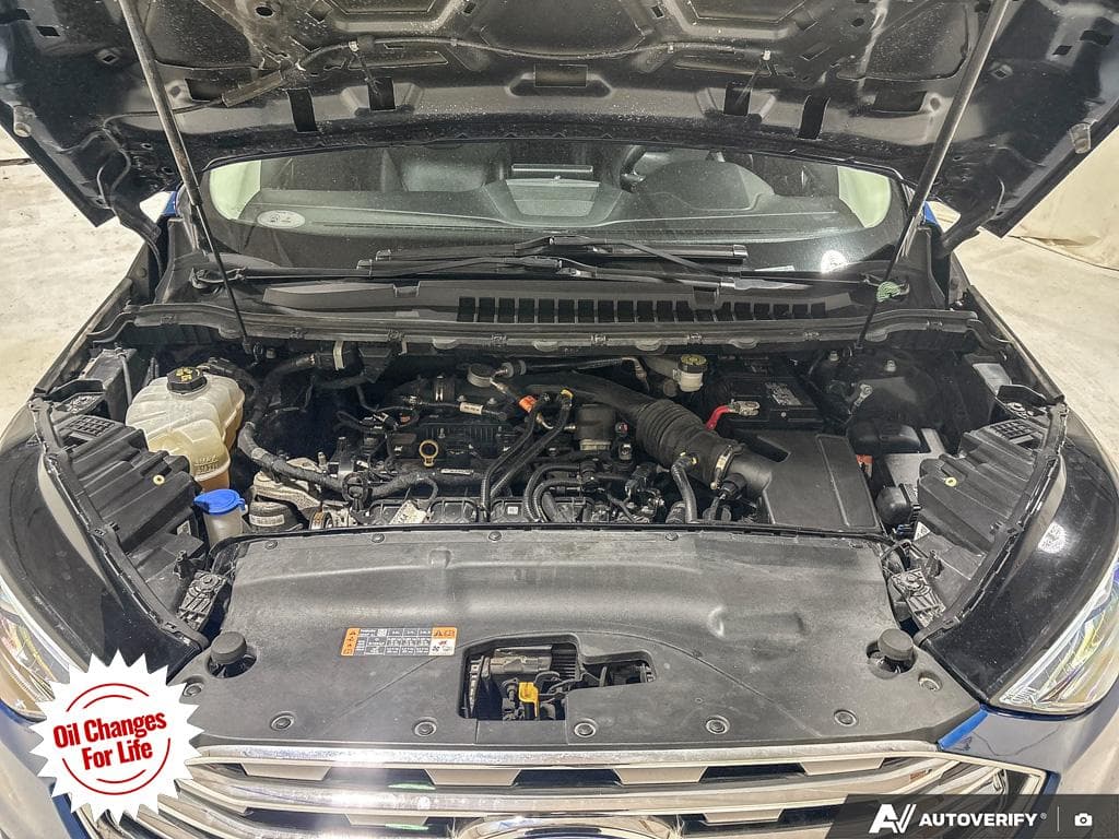 2022 Ford Edge Titanium, photograph 14