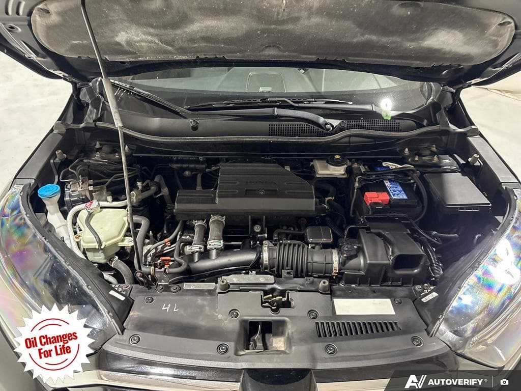 2021 Honda CR-V EX-L, photograph 14