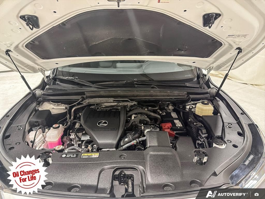 2025 Lexus RX 350, photograph 15