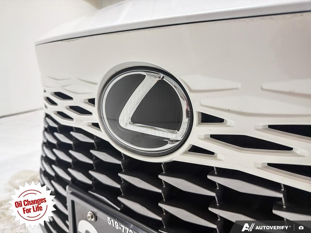 2025 Lexus RX 350, photograph 14