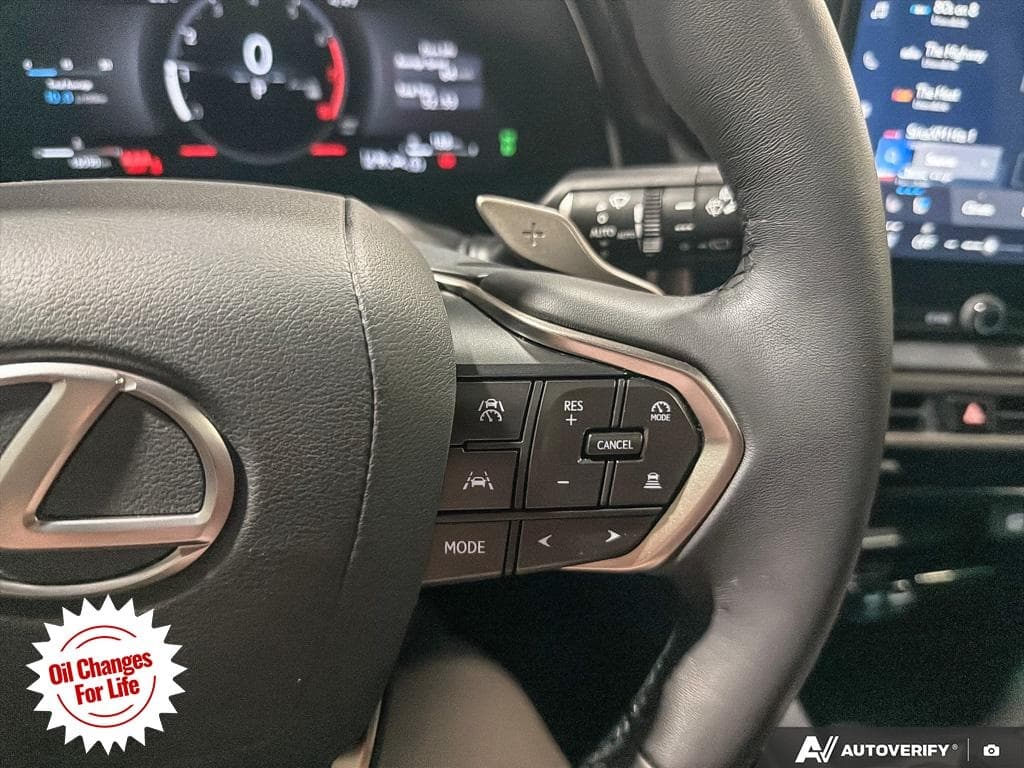 2025 Lexus RX 350, photograph 21