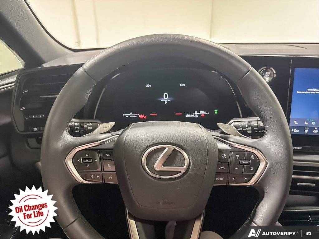 2025 Lexus RX 350, photograph 19