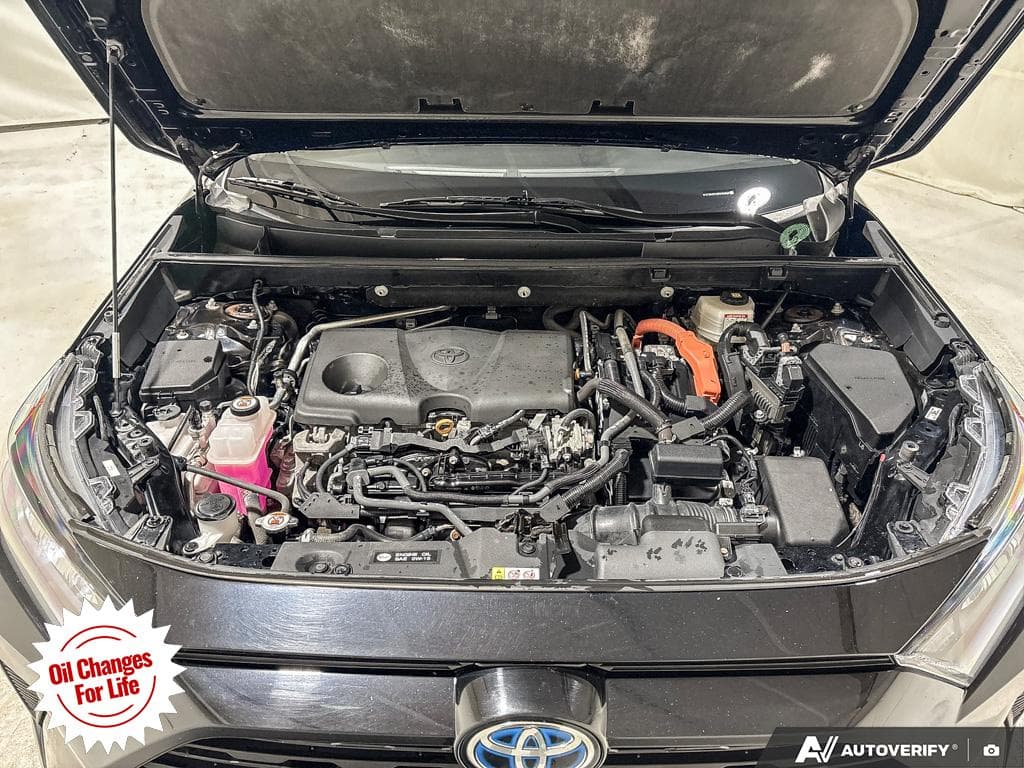 2023 Toyota RAV4 Hybrid LE, photograph 14