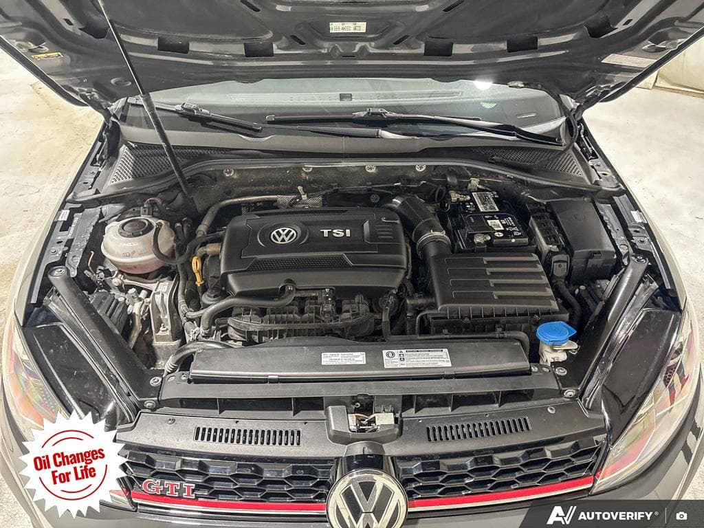 2019 Volkswagen Golf GTI Rabbit, photograph 14