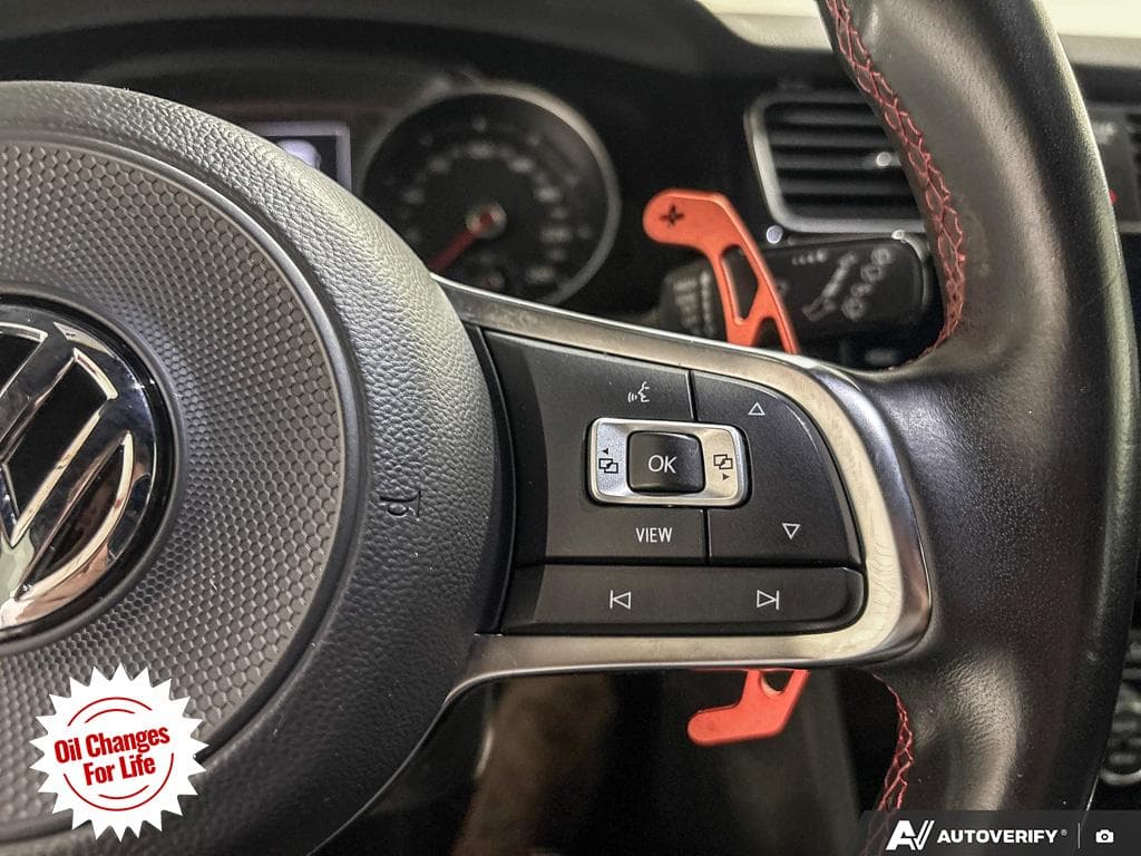 2019 Volkswagen Golf GTI Rabbit, photograph 20