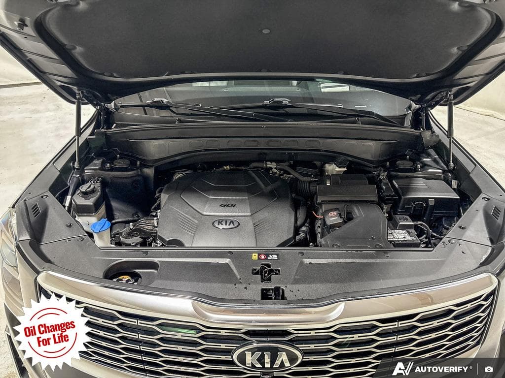 2020 Kia Telluride SX, photograph 14