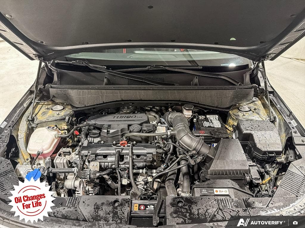 2025 Hyundai Kona 1.6T N Line, photograph 15