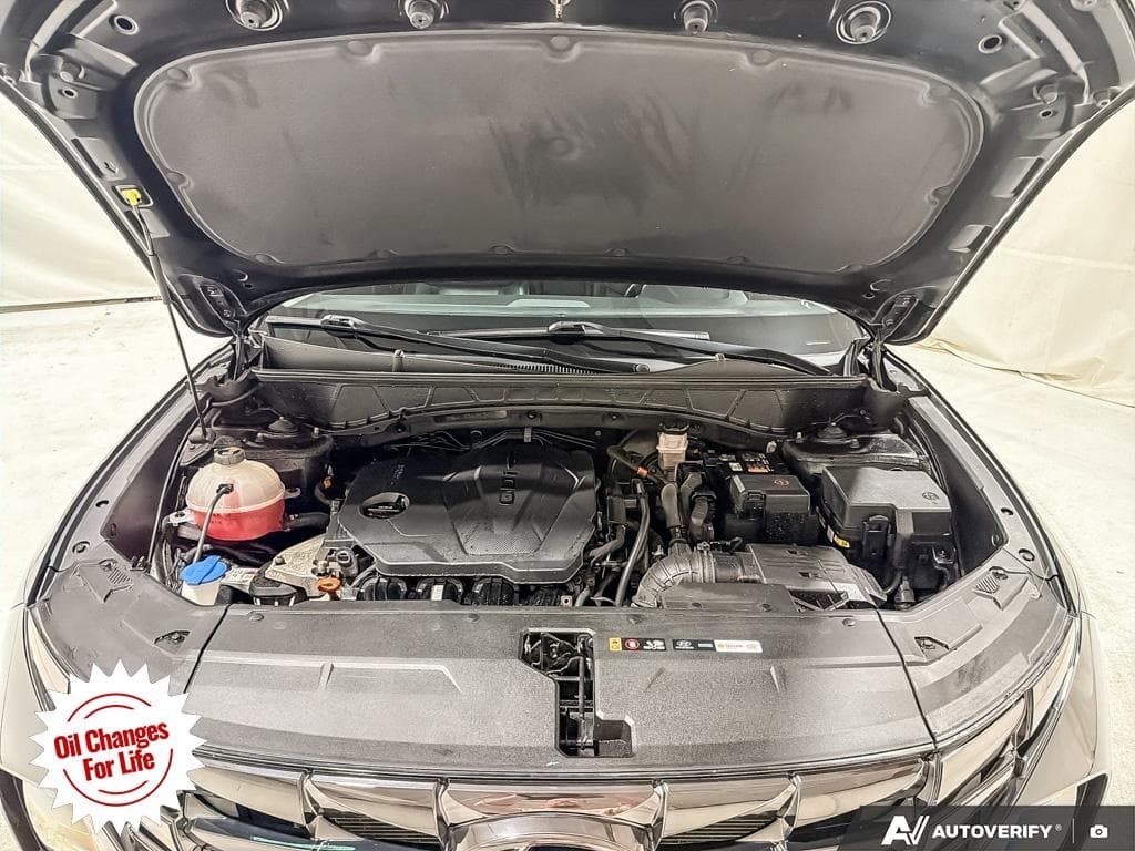 2022 Hyundai Tucson Preferred, photograph 15