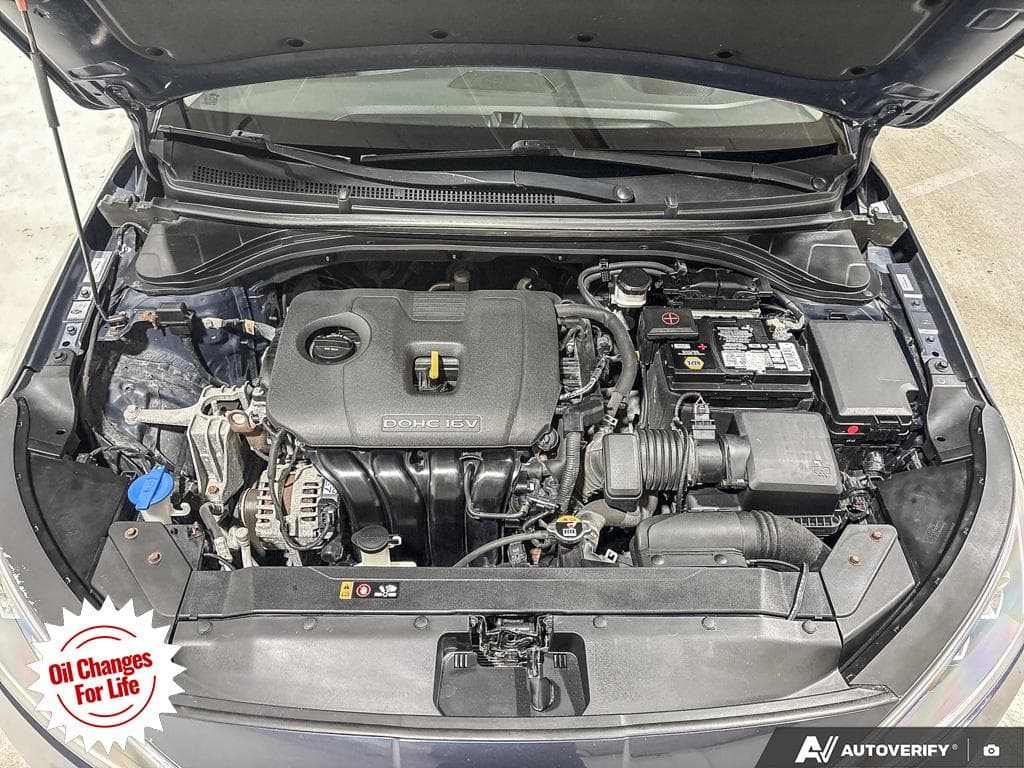 2020 Hyundai Elantra Ultimate, photograph 14